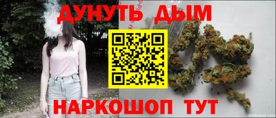 гидра Нальчик