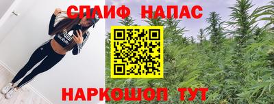 гидра Нальчик