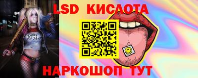 гидра Нальчик