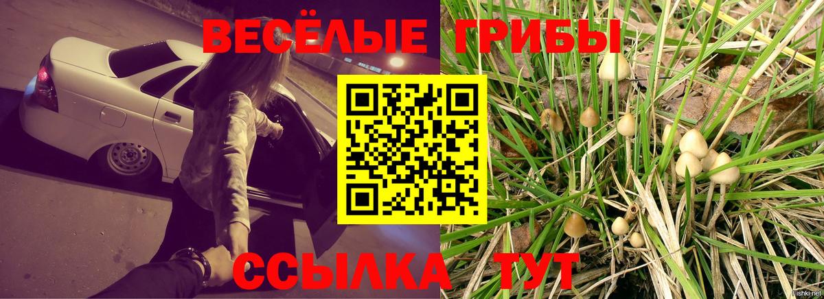 Псилоцибиновые грибы мухоморы  Вход с VPN  Псилоцибиновые грибы Psilocybe  Урус-Мартан 