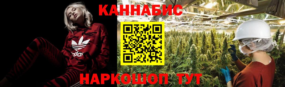 Конопля Ganja  Вход с VPN  Урус-Мартан  Каннабис индика  Бошки Шишки White Widow 